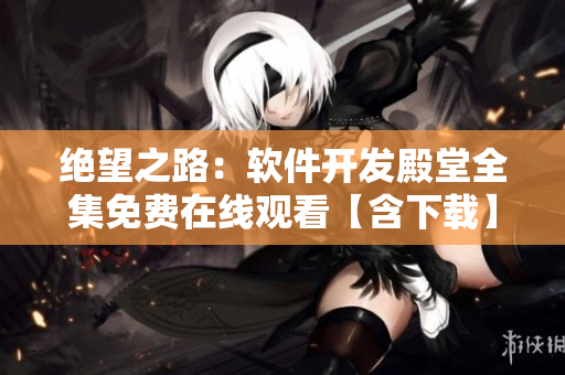 绝望之路：软件开发殿堂全集免费在线观看【含下载】