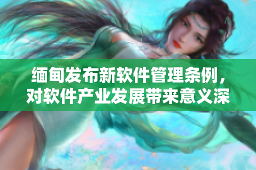 缅甸发布新软件管理条例，对软件产业发展带来意义深远的影响