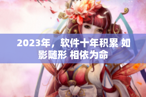 2023年，软件十年积累 如影随形 相依为命