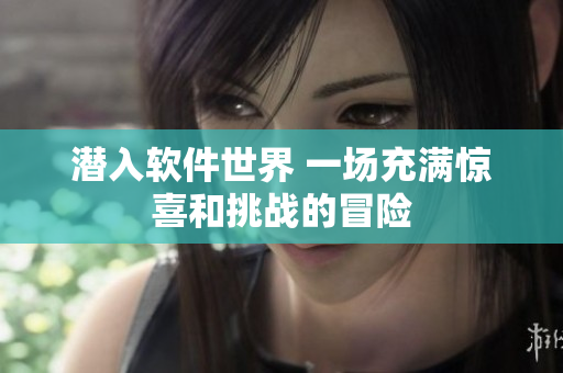 潜入软件世界 一场充满惊喜和挑战的冒险