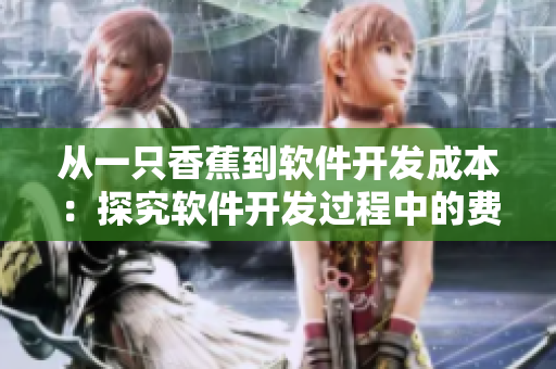 从一只香蕉到软件开发成本：探究软件开发过程中的费用结构