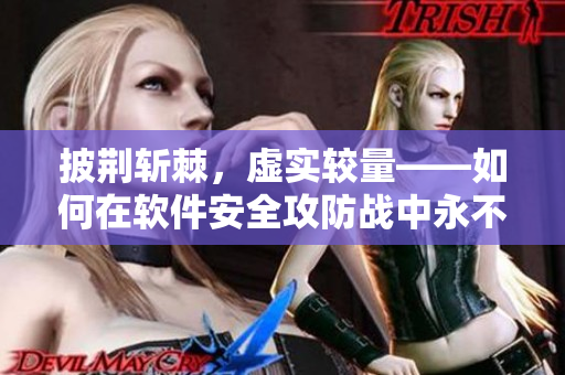 披荆斩棘，虚实较量——如何在软件安全攻防战中永不迷失