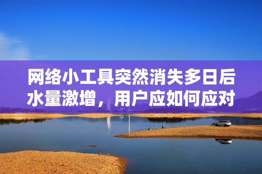 网络小工具突然消失多日后水量激增，用户应如何应对？