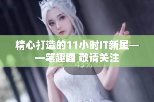 精心打造的11小时IT新星——笔趣阁 敬请关注
