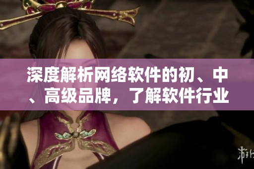 深度解析网络软件的初、中、高级品牌，了解软件行业发展趋势