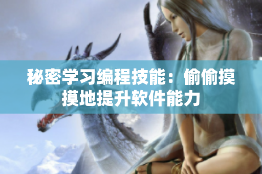 秘密学习编程技能：偷偷摸摸地提升软件能力