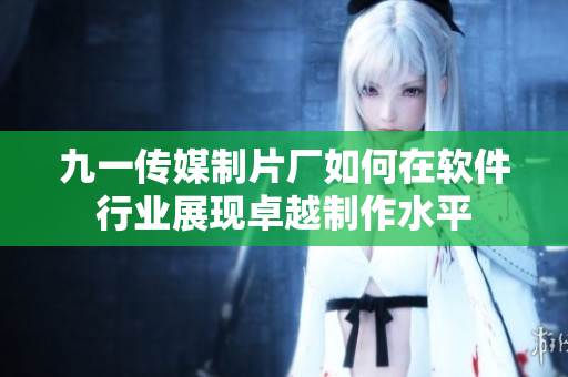 九一传媒制片厂如何在软件行业展现卓越制作水平