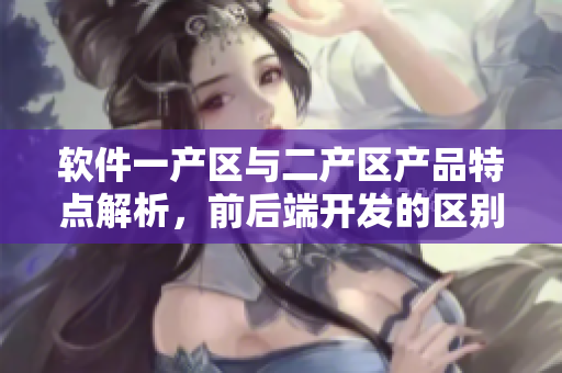 软件一产区与二产区产品特点解析，前后端开发的区别