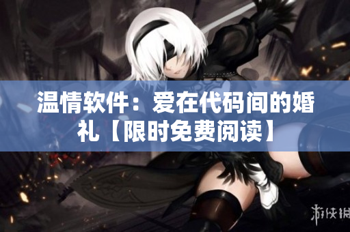 温情软件：爱在代码间的婚礼【限时免费阅读】