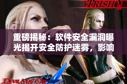 重磅揭秘：软件安全漏洞曝光揭开安全防护迷雾，影响深远揭露真相