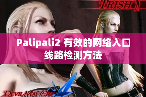 Palipali2 有效的网络入口线路检测方法