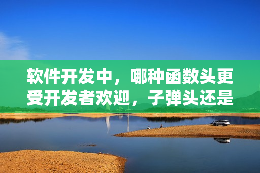 软件开发中，哪种函数头更受开发者欢迎，子弹头还是蘑菇头？