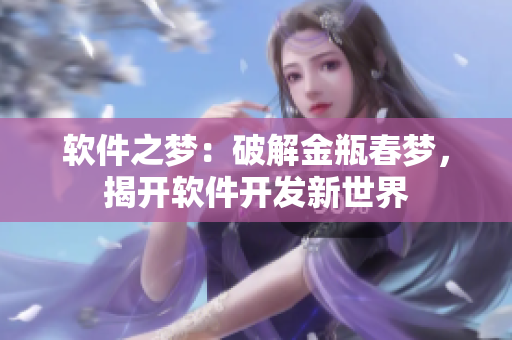 软件之梦：破解金瓶春梦，揭开软件开发新世界
