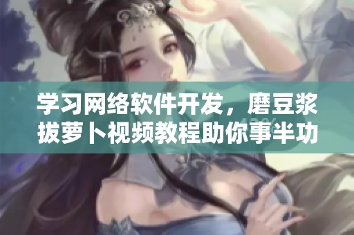 学习网络软件开发，磨豆浆拔萝卜视频教程助你事半功倍