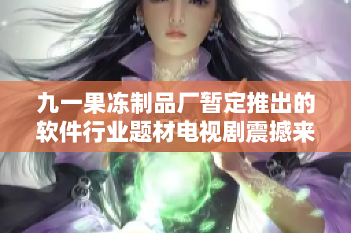九一果冻制品厂暂定推出的软件行业题材电视剧震撼来袭--《代码之梦》