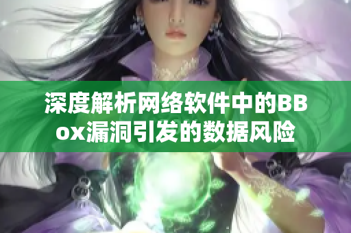 深度解析网络软件中的BBox漏洞引发的数据风险