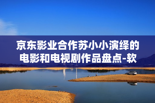 京东影业合作苏小小演绎的电影和电视剧作品盘点-软件技术全方位解析