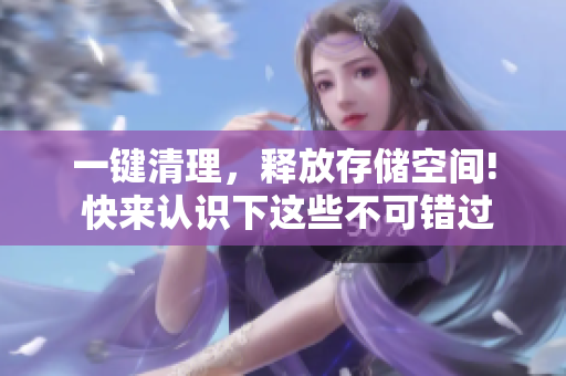 一键清理，释放存储空间! 快来认识下这些不可错过的磁盘清理软件