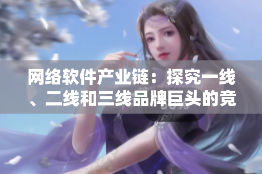 网络软件产业链：探究一线、二线和三线品牌巨头的竞争优势与未来趋势