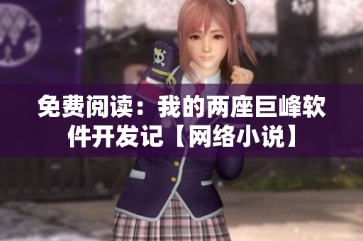 免费阅读：我的两座巨峰软件开发记【网络小说】