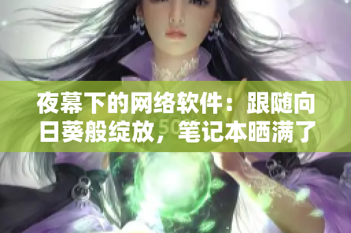 夜幕下的网络软件：跟随向日葵般绽放，笔记本晒满了太阳光
