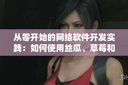从零开始的网络软件开发实践：如何使用丝瓜、草莓和香蕉构建高效软件系统