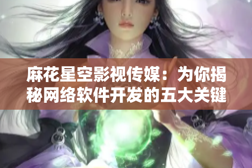麻花星空影视传媒：为你揭秘网络软件开发的五大关键要素（软文）
