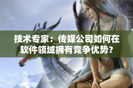 技术专家：传媒公司如何在软件领域拥有竞争优势？
