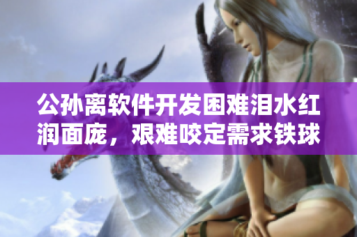 公孙离软件开发困难泪水红润面庞，艰难咬定需求铁球前行
