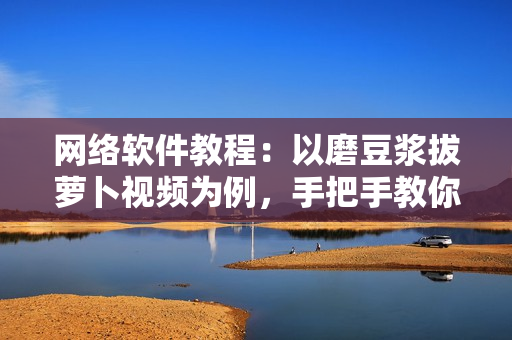 网络软件教程：以磨豆浆拔萝卜视频为例，手把手教你编写高效软件！