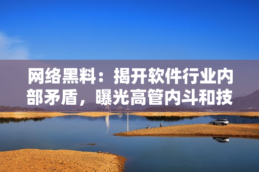 网络黑料：揭开软件行业内部矛盾，曝光高管内斗和技术抄袭事件