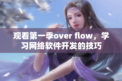 观看第一季over flow，学习网络软件开发的技巧