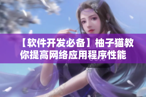【软件开发必备】柚子猫教你提高网络应用程序性能