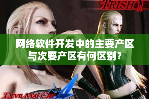 网络软件开发中的主要产区与次要产区有何区别？