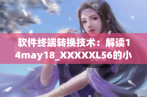 软件终端转换技术：解读14may18_XXXXXL56的小端存储