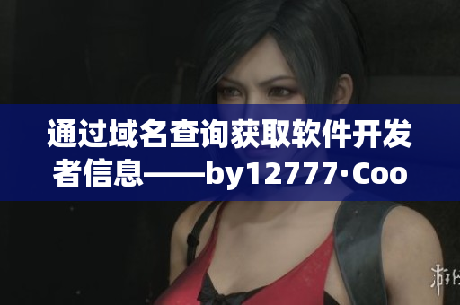 通过域名查询获取软件开发者信息——by12777·Coon域名查询