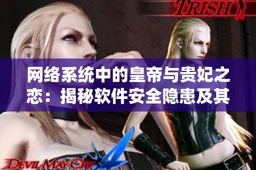 网络系统中的皇帝与贵妃之恋：揭秘软件安全隐患及其解决方案