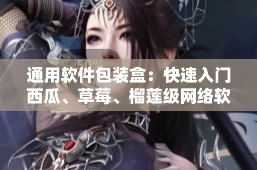 通用软件包装盒：快速入门西瓜、草莓、榴莲级网络软件开发