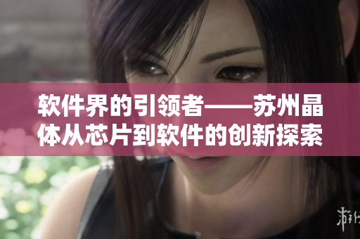 软件界的引领者——苏州晶体从芯片到软件的创新探索