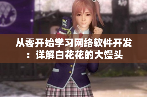 从零开始学习网络软件开发：详解白花花的大馒头