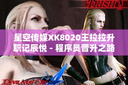 星空传媒XK8020王拉拉升职记辰悦 - 程序员晋升之路
