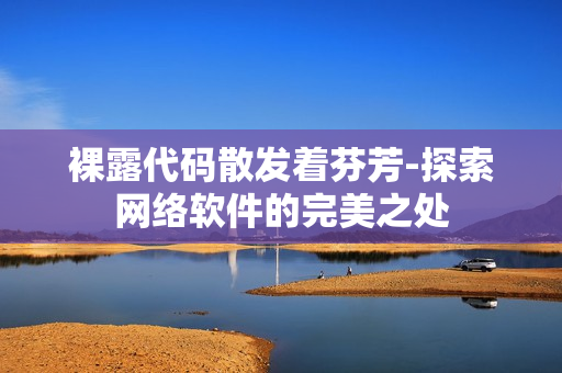 裸露代码散发着芬芳-探索网络软件的完美之处