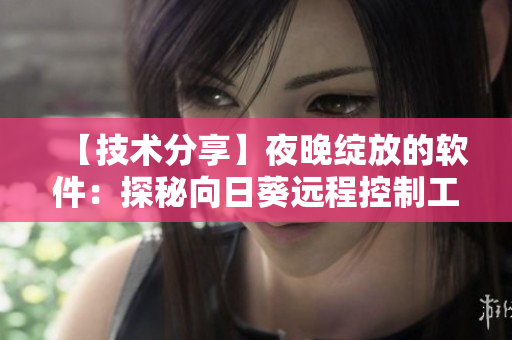 【技术分享】夜晚绽放的软件：探秘向日葵远程控制工具的内涵