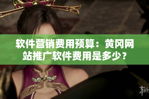 软件营销费用预算：黄冈网站推广软件费用是多少？