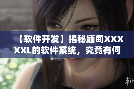 【软件开发】揭秘缅甸XXXXXL的软件系统，究竟有何独特之处？