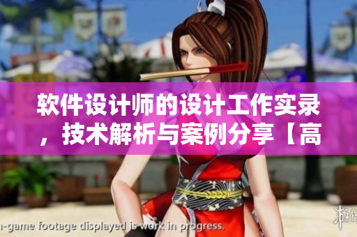 软件设计师的设计工作实录，技术解析与案例分享【高清在线观看】