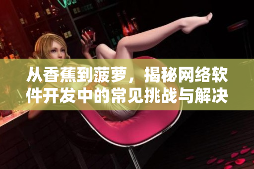 从香蕉到菠萝，揭秘网络软件开发中的常见挑战与解决方案