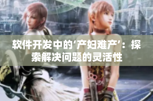 软件开发中的‘产妇难产’：探索解决问题的灵活性
