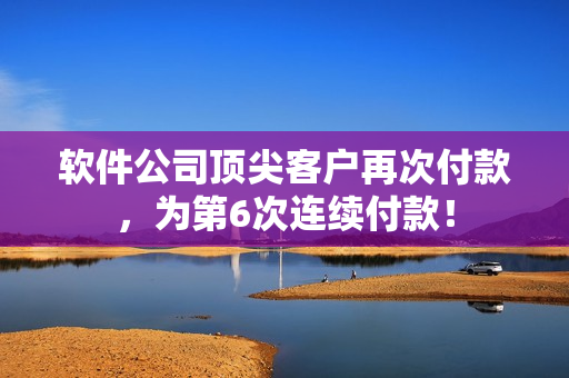 软件公司顶尖客户再次付款，为第6次连续付款！