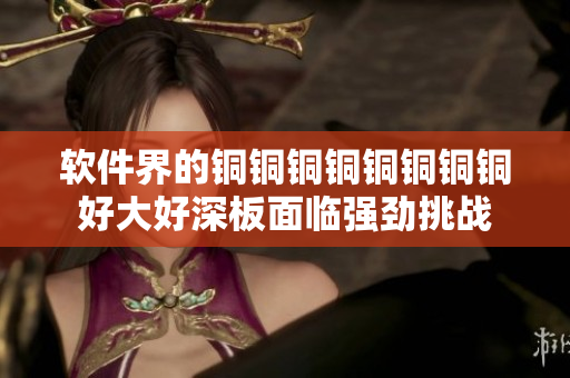 软件界的铜铜铜铜铜铜铜铜好大好深板面临强劲挑战